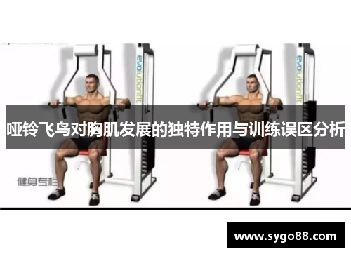 哑铃飞鸟对胸肌发展的独特作用与训练误区分析