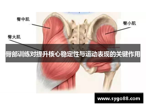 臀部训练对提升核心稳定性与运动表现的关键作用